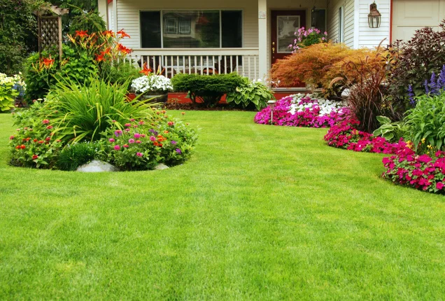 Pelouse bordée de massifs fleuris et d’arbustes devant une maison